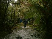 雨水で埋まるトラック